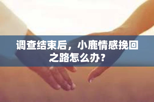 调查结束后，小鹿情感挽回之路怎么办？