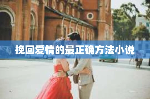 挽回爱情的最正确方法小说