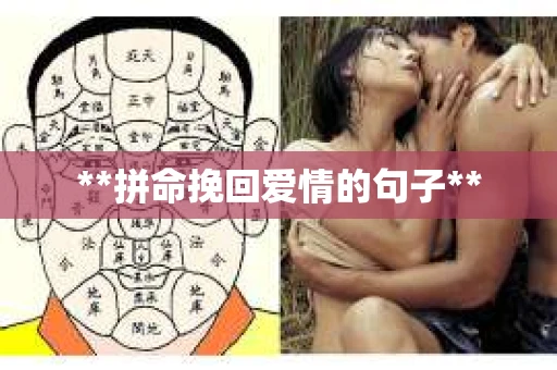 **拼命挽回爱情的句子** **拼命挽回爱情的句子**