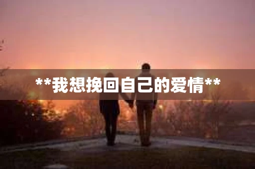 **我想挽回自己的爱情**
