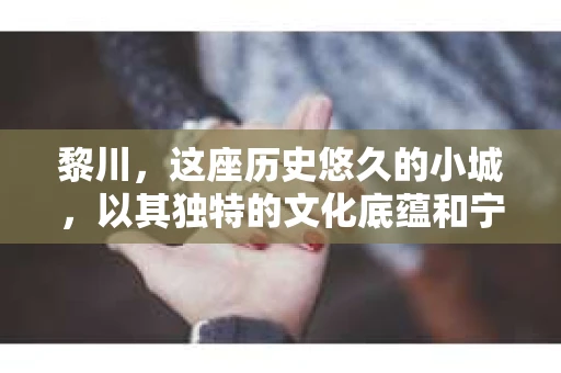 黎川,这座历史悠久的小城,以其独特的文化底蕴和宁静的生活节奏吸引着无数游客。然而,在这样一个看似平静的城市里,你是否会好奇,有没有私家侦探机构的存在呢?今天,就让我带你一探究竟。 黎川,这座历史悠久的小城,以其独特的文化底蕴和宁静的生活节奏吸引着无数游客。然而,在这样一个看似平静的城市里,你是否会好奇,有没有私家侦探机构的存在呢?今天,就让我带你一探究竟。