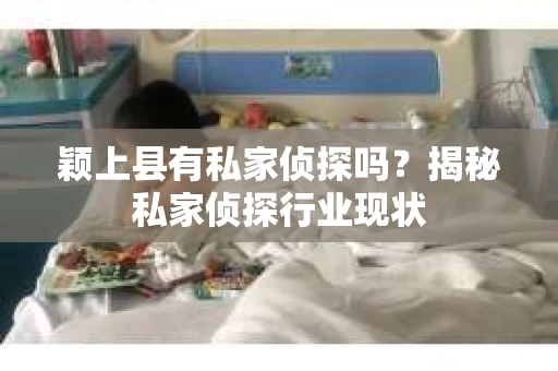颖上县有私家侦探吗？揭秘私家侦探行业现状