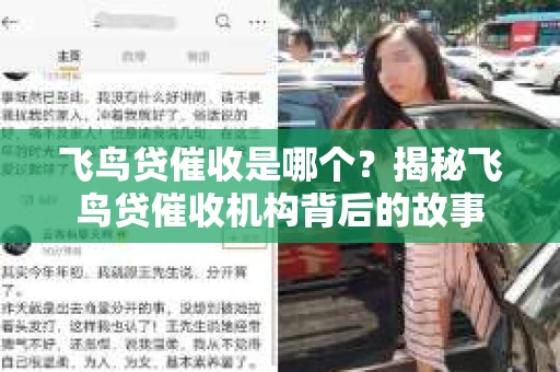 飞鸟贷催收是哪个？揭秘飞鸟贷催收机构背后的故事