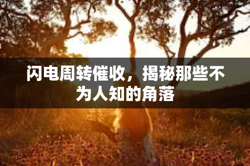 闪电周转催收，揭秘那些不为人知的角落