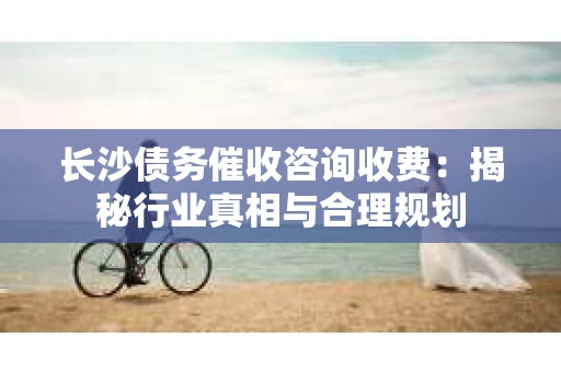 长沙债务催收咨询收费：揭秘行业真相与合理规划