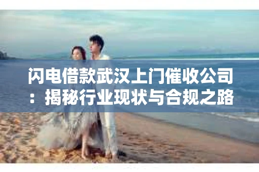 闪电借款武汉上门催收公司：揭秘行业现状与合规之路