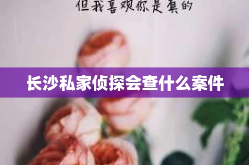 长沙私家侦探会查什么案件