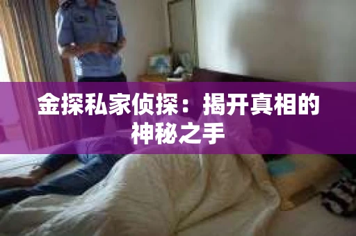 金探私家侦探：揭开真相的神秘之手