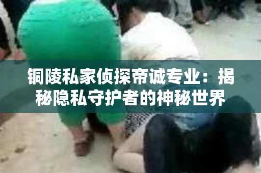 铜陵私家侦探帝诚专业：揭秘隐私守护者的神秘世界