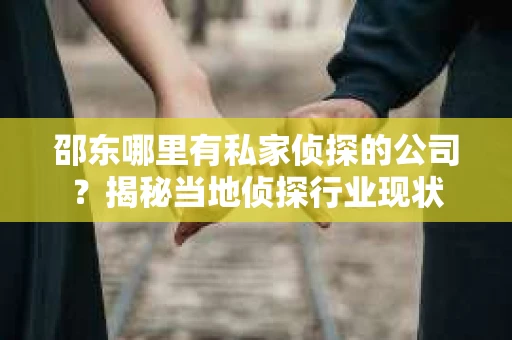 邵东哪里有私家侦探的公司？揭秘当地侦探行业现状