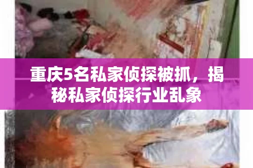 重庆5名私家侦探被抓，揭秘私家侦探行业乱象
