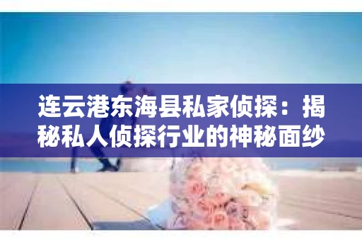 连云港东海县私家侦探：揭秘私人侦探行业的神秘面纱