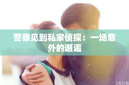 警察见到私家侦探：一场意外的邂逅
