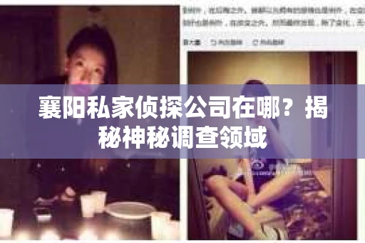 襄阳私家侦探公司在哪？揭秘神秘调查领域