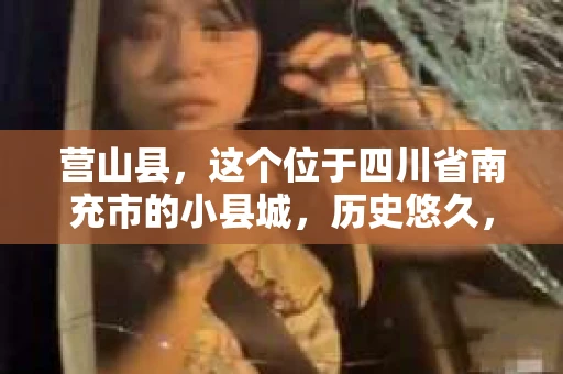 营山县，这个位于四川省南充市的小县城，历史悠久，风景秀丽。但在这个宁静的小县城里，你是否会好奇，有没有私家侦探的存在呢？今天，我就来和大家聊聊这个话题。