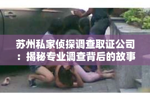 苏州私家侦探调查取证公司：揭秘专业调查背后的故事
