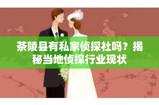 茶陵县有私家侦探社吗?揭秘当地侦探行业现状 茶陵县有私家侦探社吗?揭秘当地侦探行业现状