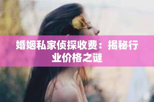 婚姻私家侦探收费：揭秘行业价格之谜