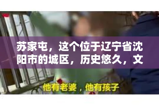 苏家屯，这个位于辽宁省沈阳市的城区，历史悠久，文化底蕴深厚。近年来，随着社会的发展，人们对于私家侦探的需求也逐渐增加。那么，苏家屯有私家侦探吗？今天，我们就来聊聊这个话题。