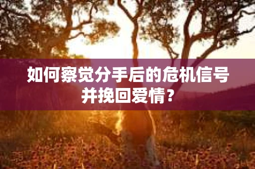 如何察觉分手后的危机信号并挽回爱情？