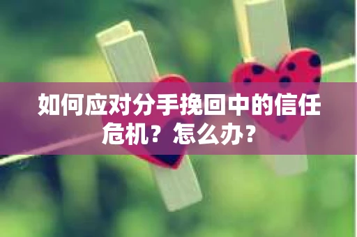 如何应对分手挽回中的信任危机？怎么办？