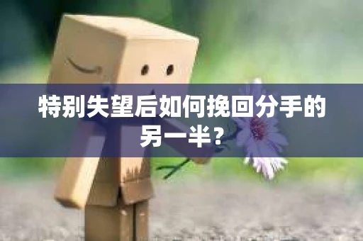 特别失望后如何挽回分手的另一半? 特别失望后如何挽回分手的另一半?