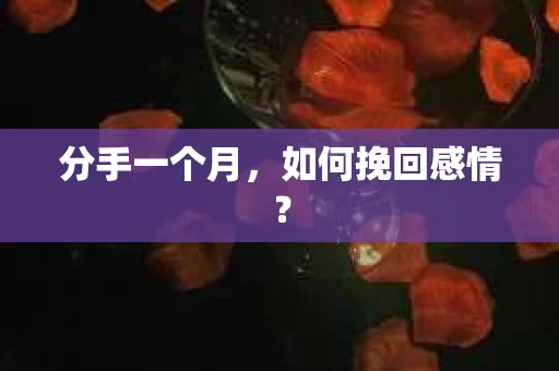 分手一个月，如何挽回感情？