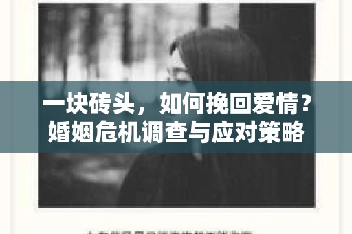 一块砖头，如何挽回爱情？婚姻危机调查与应对策略