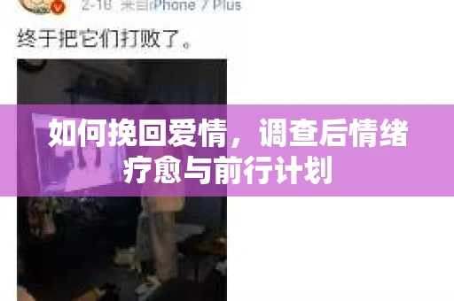 如何挽回爱情，调查后情绪疗愈与前行计划