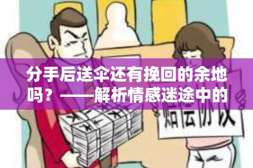 分手后送伞还有挽回的余地吗？——解析情感迷途中的决策