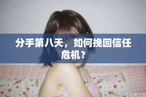 分手第八天，如何挽回信任危机？