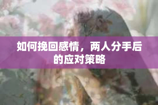如何挽回感情，两人分手后的应对策略